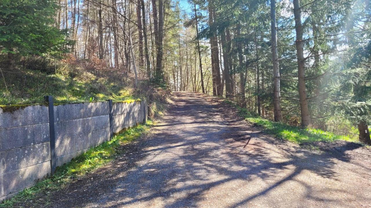 Waldpension Am Koepfchen Kurort Steinbach-Hallenberg Ngoại thất bức ảnh
