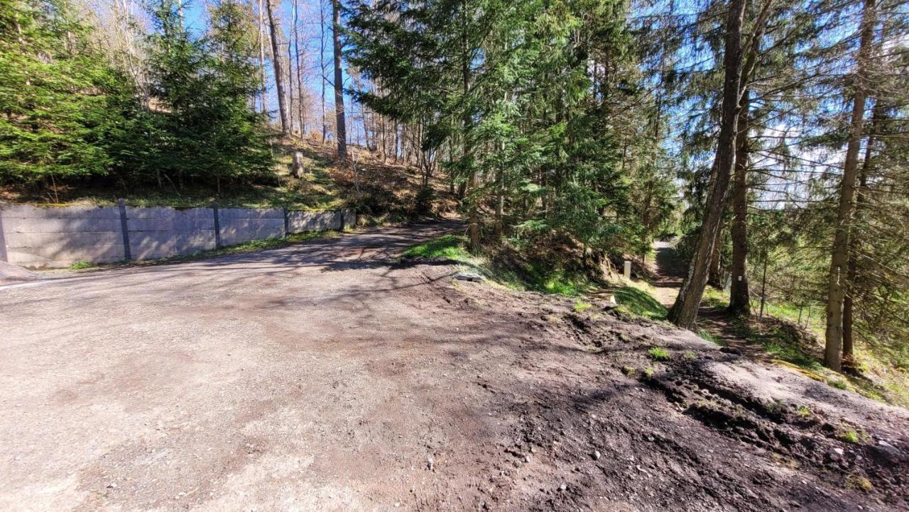 Waldpension Am Koepfchen Kurort Steinbach-Hallenberg Ngoại thất bức ảnh